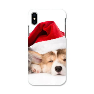 iphone XR iPhone 10r ACtH[ GbNXA[ eA[ iphonexr p\tgP[X X}zJo[ Jo[ P[X tpu \tg P[X 008645 Aj} @L@Xq@ʐ^