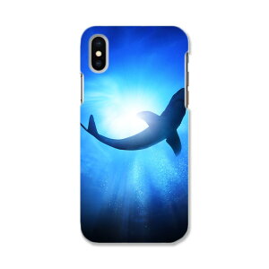 iphone XR iPhone 10r �A�C�t�H�[�� �G�b�N�X�A�[�� �e���A�[�� iphonexr ��p�\�t�g�P�[�X �X�}�z�J�o�[ �J�o�[ �P�[�X tpu �\�t�g �P�[�X 012652 ���@������@�C