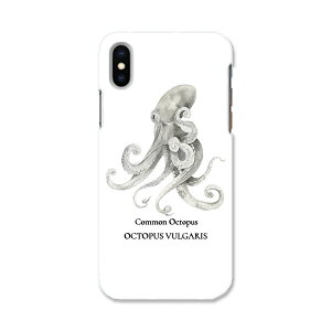 iphone XR iPhone 10r ACtH[ GbNXA[ eA[ iphonexr p\tgP[X X}zJo[ Jo[ P[X tpu \tg P[X 019730 fUC C̐ ^R octopus