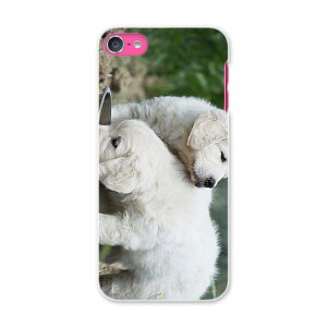 iPod touch 7(2019)/6(2015) AC|bh^b` 7 6 Ή P[X X}z Jo[ X}zP[X X}zJo[ PC n[hP[X 002577