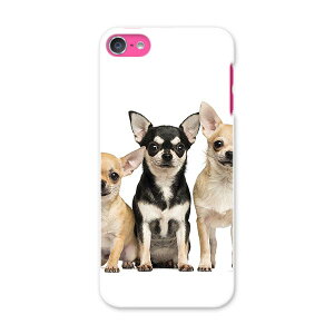 iPod touch 7(2019)/6(2015) AC|bh^b` 7 6 Ή P[X X}z Jo[ X}zP[X X}zJo[ PC n[hP[X 002885 @@ʐ^