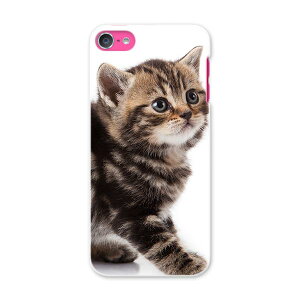 iPod touch 7(2019)/6(2015) AC|bh^b` 7 6 Ή P[X X}z Jo[ X}zP[X X}zJo[ PC n[hP[X 005930 ʐ^@@L@˂