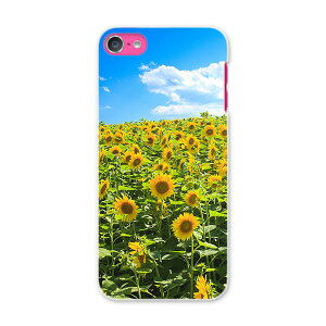 iPod touch 7(2019)/6(2015) AC|bh^b` 7 6 Ή P[X X}z Jo[ X}zP[X X}zJo[ PC n[hP[X 007936 ʐ^@ԁ@t[@@Ђ܂