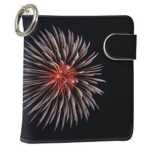 uz֐pviQOS ACRX p U[P[X ]^ / V^ 2.4PLUS XNGA 蒠^ Ή ^oR P[X Jo[  N[i[ [ ACRXP[X fUC 000034 ʐ^Ei v iqos005nb