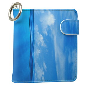 uz֐pviQOS ACRX p U[P[X ]^ / V^ 2.4PLUS XNGA 蒠^ Ή ^oR P[X Jo[  N[i[ [ ACRXP[X fUC 000071 ʐ^Ei v iqos005nb