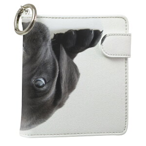 uz֐pviQOS ACRX p U[P[X ]^ / V^ 2.4PLUS XNGA 蒠^ Ή ^oR P[X Jo[  N[i[ [ ACRXP[X fUC 000127 Aj} v iqos005nb