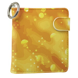 uz֐pviQOS ACRX p U[P[X ]^ / V^ 2.4PLUS XNGA 蒠^ Ή ^oR P[X Jo[  N[i[ [ ACRXP[X fUC 000806 OWA[ v iqo