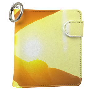 uz֐pviQOS ACRX p U[P[X ]^ / V^ 2.4PLUS XNGA 蒠^ Ή ^oR P[X Jo[  N[i[ [ ACRXP[X fUC 000853 ʐ^Ei v iqos005nb