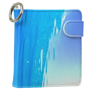 uz֐pviQOS ACRX p U[P[X ]^ / V^ 2.4PLUS XNGA 蒠^ Ή ^oR P[X Jo[  N[i[ [ ACRXP[X fUC 000864 ʐ^Ei v iqos005nb