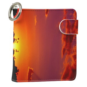 uz֐pviQOS ACRX p U[P[X ]^ / V^ 2.4PLUS XNGA 蒠^ Ή ^oR P[X Jo[  N[i[ [ ACRXP[X fUC 001033 ʐ^Ei v iqos005nb