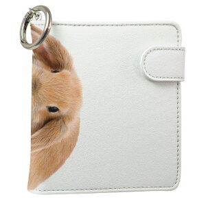 uz֐pviQOS ACRX p U[P[X ]^ / V^ 2.4PLUS XNGA 蒠^ Ή ^oR P[X Jo[  N[i[ [ ACRXP[X fUC 001112 Aj} v iqos005nb