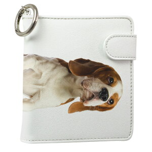 uz֐pviQOS ACRX p U[P[X ]^ / V^ 2.4PLUS XNGA 蒠^ Ή ^oR P[X Jo[  N[i[ [ ACRXP[X fUC 001147 Aj} v iqos005nb