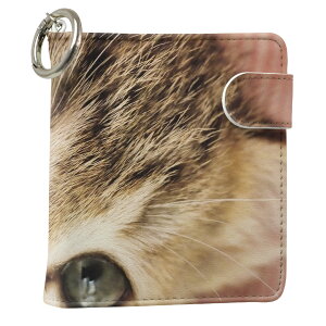 uz֐pviQOS ACRX p U[P[X ]^ / V^ 2.4PLUS XNGA 蒠^ Ή ^oR P[X Jo[  N[i[ [ ACRXP[X fUC 001172 Aj} v iqos005nb