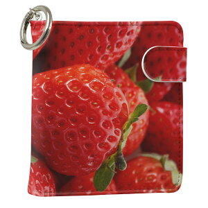 uz֐pviQOS ACRX p U[P[X ]^ / V^ 2.4PLUS XNGA 蒠^ Ή ^oR P[X Jo[  N[i[ [ ACRXP[X fUC 001592 ʐ^Ei v iqos005nb