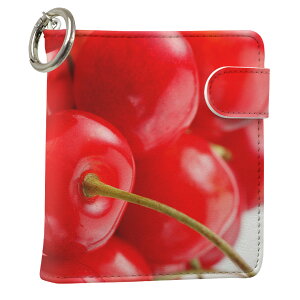 uz֐pviQOS ACRX p U[P[X ]^ / V^ 2.4PLUS XNGA 蒠^ Ή ^oR P[X Jo[  N[i[ [ ACRXP[X fUC 001597 ʐ^Ei v iqos005nb