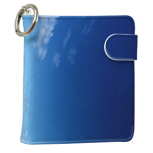 uz֐pviQOS ACRX p U[P[X ]^ / V^ 2.4PLUS XNGA 蒠^ Ή ^oR P[X Jo[  N[i[ [ ACRXP[X fUC 001605 ʐ^Ei v iqos005nb