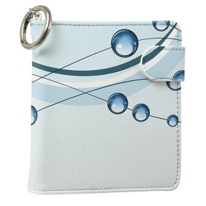 uz֐pviQOS ACRX p U[P[X ]^ / V^ 2.4PLUS XNGA 蒠^ Ή ^oR P[X Jo[  N[i[ [ ACRXP[X fUC 001731 ̑ ʐ^Ei v