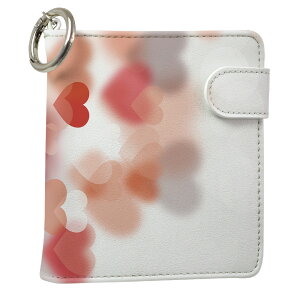 uz֐pviQOS ACRX p U[P[X ]^ / V^ 2.4PLUS XNGA 蒠^ Ή ^oR P[X Jo[  N[i[ [ ACRXP[X fUC 001913 u[ t[ v