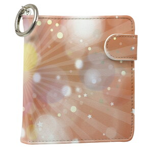 uz֐pviQOS ACRX p U[P[X ]^ / V^ 2.4PLUS XNGA 蒠^ Ή ^oR P[X Jo[  N[i[ [ ACRXP[X fUC 001919 ̑ v iqos005nb