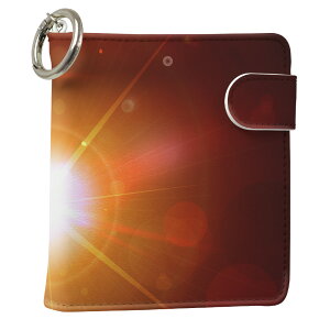 uz֐pviQOS ACRX p U[P[X ]^ / V^ 2.4PLUS XNGA 蒠^ Ή ^oR P[X Jo[  N[i[ [ ACRXP[X fUC 002281 N[ v iqos005nb