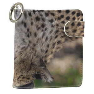 uz֐pviQOS ACRX p U[P[X ]^ / V^ 2.4PLUS XNGA 蒠^ Ή ^oR P[X Jo[  N[i[ [ ACRXP[X fUC 002582 Aj} v iqos005nb