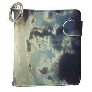 uz֐pviQOS ACRX p U[P[X ]^ / V^ 2.4PLUS XNGA 蒠^ Ή ^oR P[X Jo[  N[i[ [ ACRXP[X fUC 002583 ʐ^Ei v iqos005nb