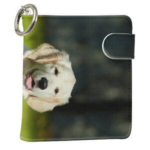 uz֐pviQOS ACRX p U[P[X ]^ / V^ 2.4PLUS XNGA 蒠^ Ή ^oR P[X Jo[  N[i[ [ ACRXP[X fUC 002665 Aj} v iqos005nb