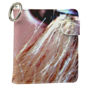 uz֐pviQOS ACRX p U[P[X ]^ / V^ 2.4PLUS XNGA 蒠^ Ή ^oR P[X Jo[  N[i[ [ ACRXP[X fUC 002739 ʐ^Ei v iqos005nb