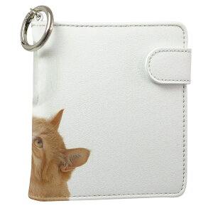 uz֐pviQOS ACRX p U[P[X ]^ / V^ 2.4PLUS XNGA 蒠^ Ή ^oR P[X Jo[  N[i[ [ ACRXP[X fUC 002741 Aj} v iqos005nb