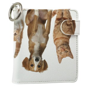 uz֐pviQOS ACRX p U[P[X ]^ / V^ 2.4PLUS XNGA 蒠^ Ή ^oR P[X Jo[  N[i[ [ ACRXP[X fUC 002789 Aj} v iqos005nb