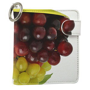 uz֐pviQOS ACRX p U[P[X ]^ / V^ 2.4PLUS XNGA 蒠^ Ή ^oR P[X Jo[  N[i[ [ ACRXP[X fUC 002824 ʐ^Ei v iqos005nb