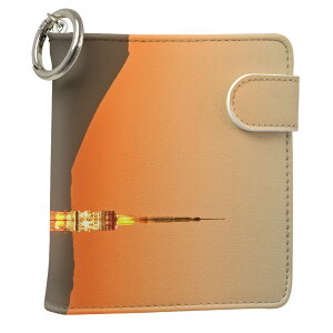 uz֐pviQOS ACRX p U[P[X ]^ / V^ 2.4PLUS XNGA 蒠^ Ή ^oR P[X Jo[  N[i[ [ ACRXP[X fUC 003162 ̑ ʐ^Ei N