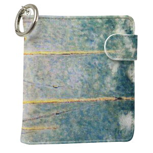 uz֐pviQOS ACRX p U[P[X ]^ / V^ 2.4PLUS XNGA 蒠^ Ή ^oR P[X Jo[  N[i[ [ ACRXP[X fUC 003200 ʐ^Ei N[ v