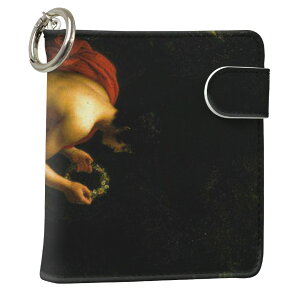 uz֐pviQOS ACRX p U[P[X ]^ / V^ 2.4PLUS XNGA 蒠^ Ή ^oR P[X Jo[  N[i[ [ ACRXP[X fUC 003214 ʐ^Ei N[ v