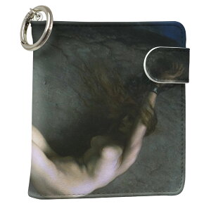 uz֐pviQOS ACRX p U[P[X ]^ / V^ 2.4PLUS XNGA 蒠^ Ή ^oR P[X Jo[  N[i[ [ ACRXP[X fUC 003215 N[ ʐ^Ei v