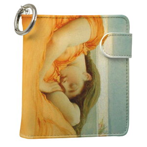 uz֐pviQOS ACRX p U[P[X ]^ / V^ 2.4PLUS XNGA 蒠^ Ή ^oR P[X Jo[  N[i[ [ ACRXP[X fUC 003228 N[ ʐ^Ei v