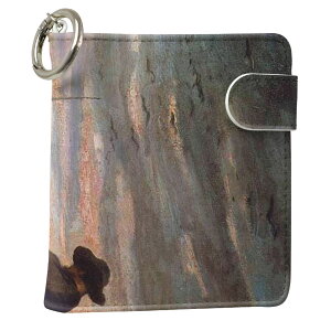 uz֐pviQOS ACRX p U[P[X ]^ / V^ 2.4PLUS XNGA 蒠^ Ή ^oR P[X Jo[  N[i[ [ ACRXP[X fUC 003256 N[ ʐ^Ei v