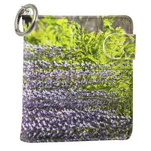 uz֐pviQOS ACRX p U[P[X ]^ / V^ 2.4PLUS XNGA 蒠^ Ή ^oR P[X Jo[  N[i[ [ ACRXP[X fUC 003257 N[ t[ ʐ^