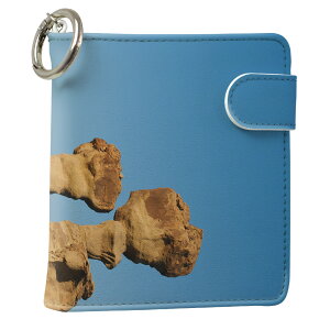 uz֐pviQOS ACRX p U[P[X ]^ / V^ 2.4PLUS XNGA 蒠^ Ή ^oR P[X Jo[  N[i[ [ ACRXP[X fUC 003263 ʐ^Ei N[ 