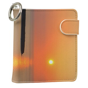 uz֐pviQOS ACRX p U[P[X ]^ / V^ 2.4PLUS XNGA 蒠^ Ή ^oR P[X Jo[  N[i[ [ ACRXP[X fUC 003276 N[ ̑ ʐ^E