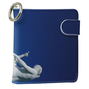 uz֐pviQOS ACRX p U[P[X ]^ / V^ 2.4PLUS XNGA 蒠^ Ή ^oR P[X Jo[  N[i[ [ ACRXP[X fUC 003279 ʐ^Ei ̑ N