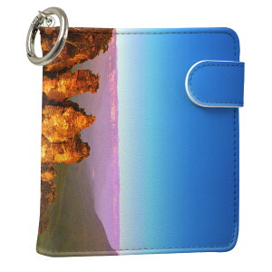 uz֐pviQOS ACRX p U[P[X ]^ / V^ 2.4PLUS XNGA 蒠^ Ή ^oR P[X Jo[  N[i[ [ ACRXP[X fUC 003282 N[ ̑ ʐ^E