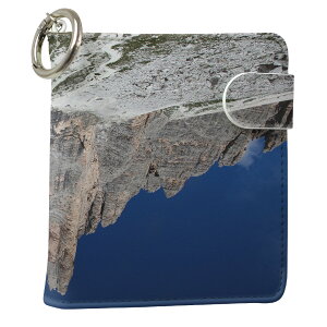 uz֐pviQOS ACRX p U[P[X ]^ / V^ 2.4PLUS XNGA 蒠^ Ή ^oR P[X Jo[  N[i[ [ ACRXP[X fUC 003287 ʐ^Ei N[ 