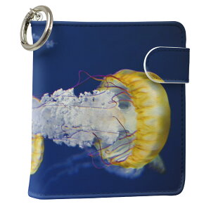 uz֐pviQOS ACRX p U[P[X ]^ / V^ 2.4PLUS XNGA 蒠^ Ή ^oR P[X Jo[  N[i[ [ ACRXP[X fUC 003306 N[ ʐ^Ei v