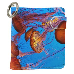 uz֐pviQOS ACRX p U[P[X ]^ / V^ 2.4PLUS XNGA 蒠^ Ή ^oR P[X Jo[  N[i[ [ ACRXP[X fUC 003327 N[ ʐ^Ei v