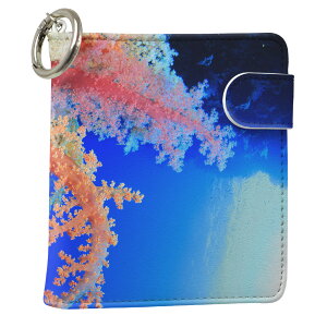 uz֐pviQOS ACRX p U[P[X ]^ / V^ 2.4PLUS XNGA 蒠^ Ή ^oR P[X Jo[  N[i[ [ ACRXP[X fUC 003341 ʐ^Ei N[ v