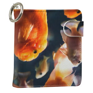 uz֐pviQOS ACRX p U[P[X ]^ / V^ 2.4PLUS XNGA 蒠^ Ή ^oR P[X Jo[  N[i[ [ ACRXP[X fUC 003538 ʐ^Ei v iqos005nb