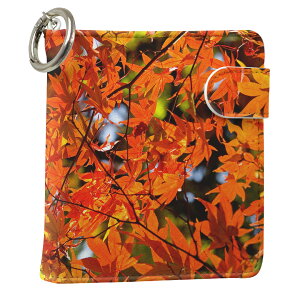 uz֐pviQOS ACRX p U[P[X ]^ / V^ 2.4PLUS XNGA 蒠^ Ή ^oR P[X Jo[  N[i[ [ ACRXP[X fUC 004615 ʐ^Ei v iqos005nb