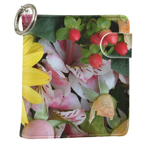 uz֐pviQOS ACRX p U[P[X ]^ / V^ 2.4PLUS XNGA 蒠^ Ή ^oR P[X Jo[  N[i[ [ ACRXP[X fUC 004662 ʐ^Ei t[ 