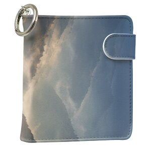 uz֐pviQOS ACRX p U[P[X ]^ / V^ 2.4PLUS XNGA 蒠^ Ή ^oR P[X Jo[  N[i[ [ ACRXP[X fUC 004702 ʐ^Ei v iqos005nb